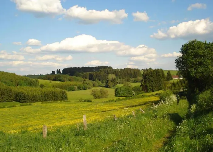 Attached Gite On The Edge Of The Forest
